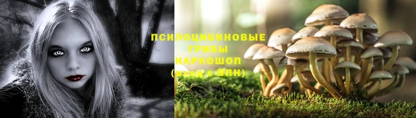 альфа пвп Киреевск