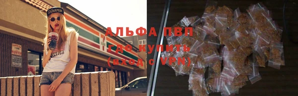 молекула духа Кинешма