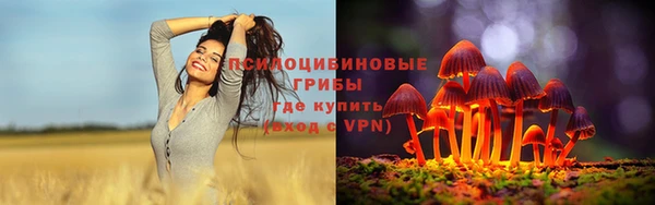 твердый Карталы