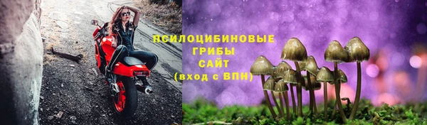 дживик Карпинск