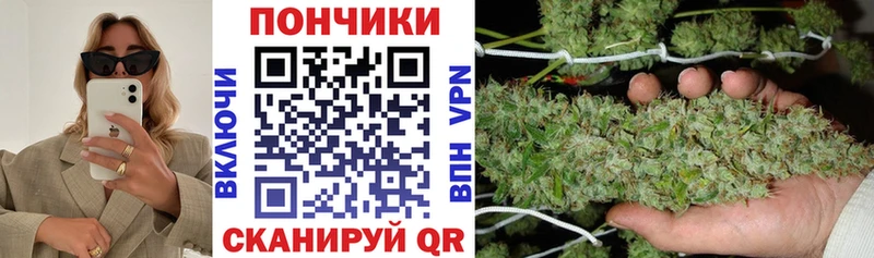 Бошки Шишки ГИДРОПОН  где найти   Новая Ляля 